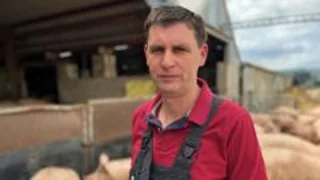 Struggling pig farmers say £2m support package 'not enough'
