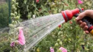 Hosepipe ban in force as drought threatens - is your area affected?