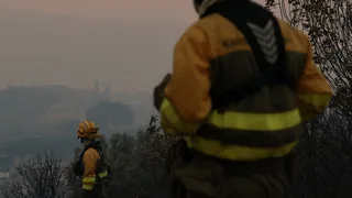 Conditions for European Wildfires Created by Summer of Extremes
