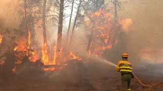 Live Updates: Hundreds of Thousands Flee as Fires Rage in Spain and France