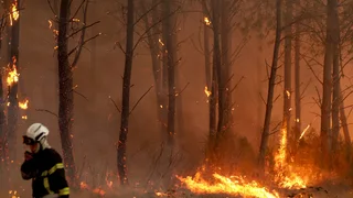Amid France Wildfires, Some Residents Help Firefighters Contain Blazes