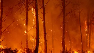 Wildfires Live Updates: New Heat Wave Could Worsen France and Spain’s ‘Unprecedented’ Fire Season