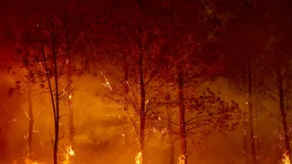 Wildfires Live Updates: Spain and France Fight to Contain Blazes as Extreme Heat Threatens New Fires