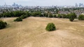 More than half of England officially in drought, Environment Agency says