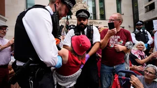 Palestine Action terror ban to go to Supreme Court as 117 arrested at protest