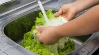 US reports first two deaths linked to 'explosive diarrhoea' outbreak