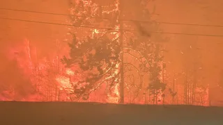 Bald Range Wildfire Forces Evacuation of 18,000 in British Columbia