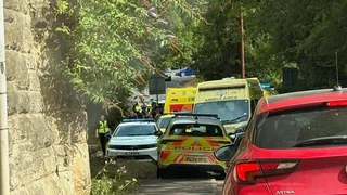 Man bitten by dog during 'altercation' dies