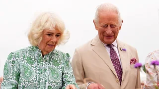 'Difficult' to keep King's cancer diagnosis a secret, Queen says