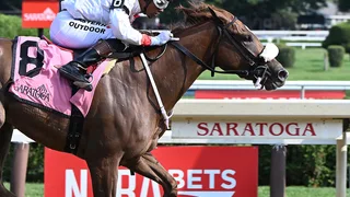 Was It a Betting Plot, or Were the Horses Just Surprisingly Fast?