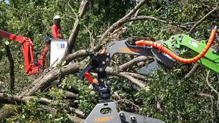 Thousands in northwest Indiana still without power nearly two weeks after storm