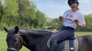 Facebook seller mis-sold me an unsafe horse that kicked my daughter in the head