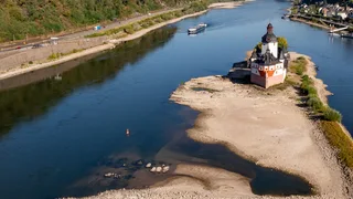 Drought, Heat, Low Water Levels: Europe’s River Cruises Take a Hit