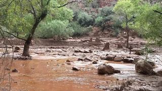 Grand Canyon flash floods leave one dead and 15 missing