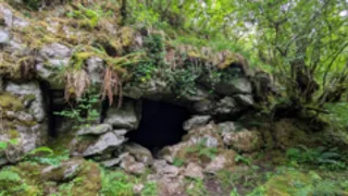 Ancient cave art discovery suggests first known humans in Ireland walked over from Wales