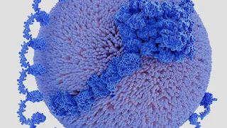 The Heart Drug Pelacarsen Fails, Shocking Novartis and Cardiologists