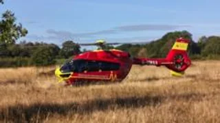 Police probe after child dies in woodland