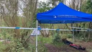 Baby girl dies while camping with family in woods
