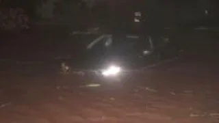 Watch: Downed trees and flooding as Hurricane Lowell batters western Hawaii