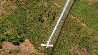 Colombia to Start Aerial Spraying of Coca Crops Despite Health Worries
