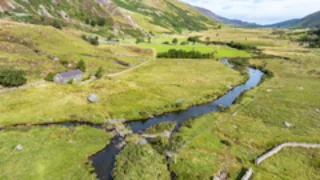 Species 'at risk of vanishing' from area of Wales' largest national park