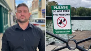Town gets in a flap over High Street pigeon mess