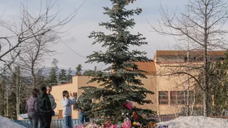 British Columbia Sues OpenAI Over Tumbler Ridge Shooting