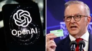 What you need to know about the OpenAI Australian government hack