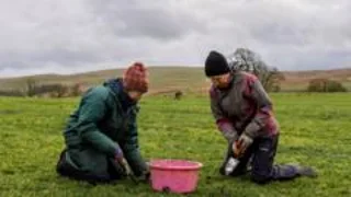 Hundreds of wildflowers to be planted at meadow