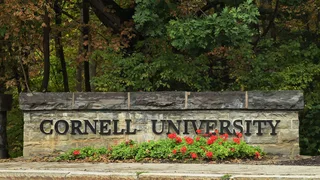 Cornell president calls alleged gang rape 'deeply disturbing'