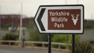 Man dies after tiger attack at wildlife park