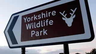 Man Dies in Tiger Attack at Yorkshire Wildlife Park in England
