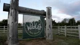 Man dies after tiger attack at wildlife park
