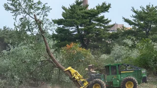 Judge Orders Trump Administration to Answer for Tree Removals at D.C. Golf Course
