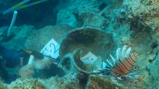 World's oldest shipwreck found off Turkish coast