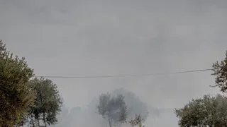 Israeli Settlers Attack Palestinians and European Officials in West Bank