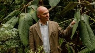 Tributes paid to man killed by falling tree in Storm Boelo